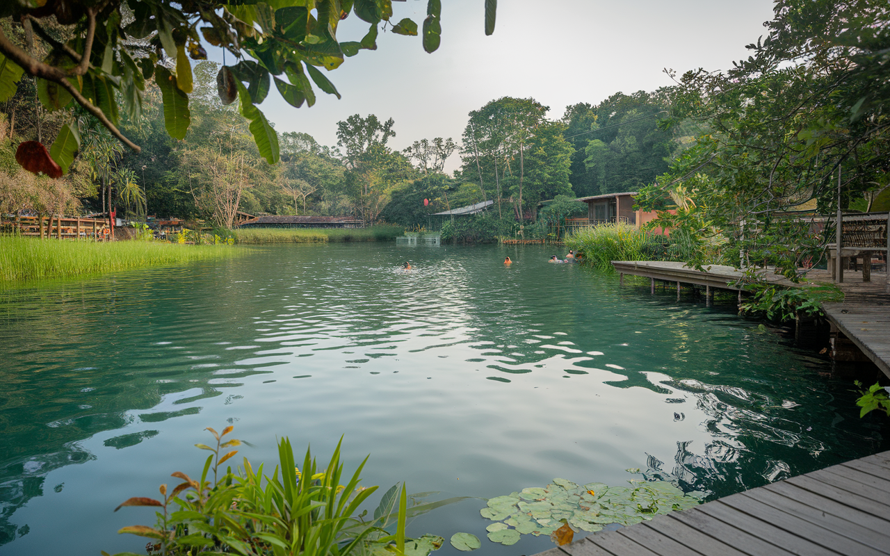 Indigenous Eyes Ecological Park