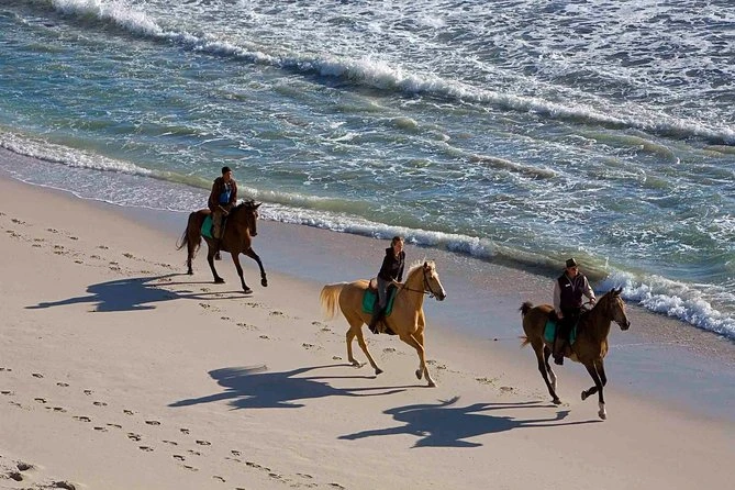 Valentine\u2019s Day in Punta Cana: horseback riding on the beach
