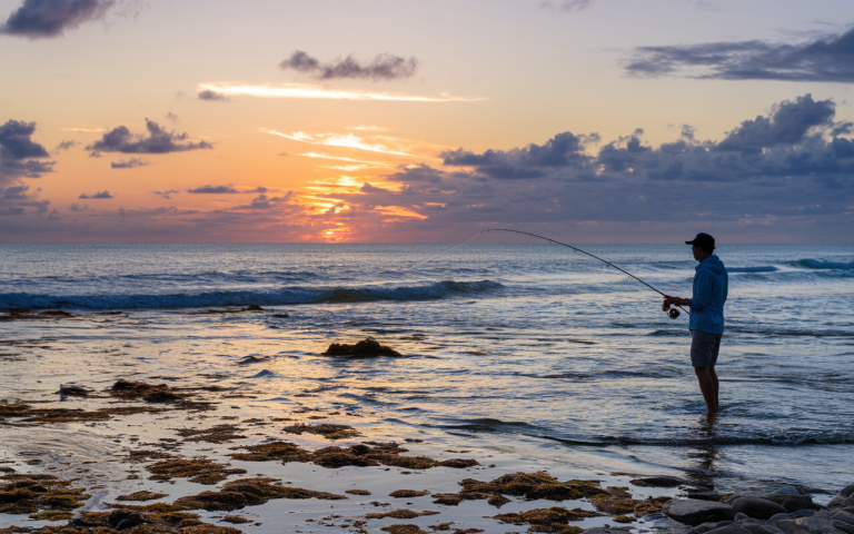 Fishing in Punta Cana, Dominican Republic: Top Spots and Best Seasons